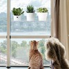 Sumerflos 2 Pack Clear Acrylic Window Plant Box - 12''
