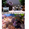 Aquarium Aquarium Object Barrel Hideaway Aquarium Aquarium Fish Toy DIY