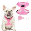 PUPTECK Soft Mesh Dog Harness and Leash Set Pet Puppy