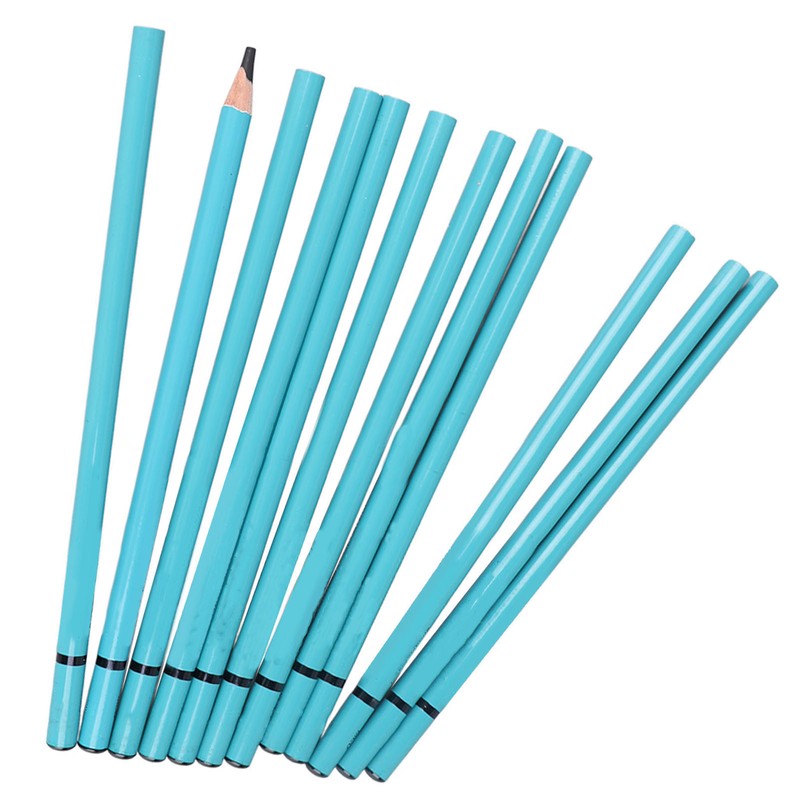 12pcs Charcoal Pencils Set Synthetic Wood Sketching Drawing Pencils for