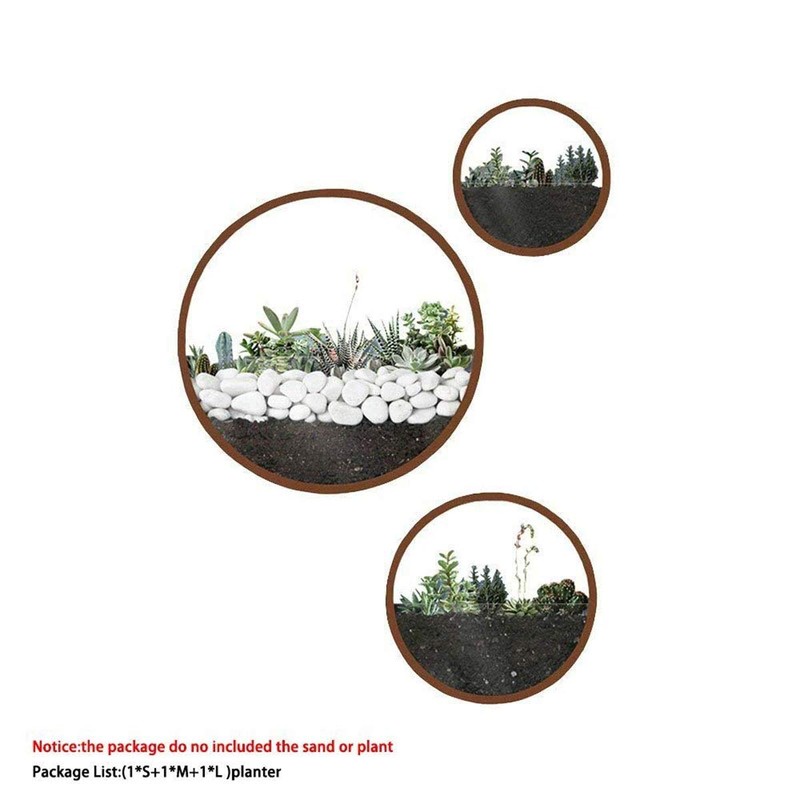VEVLU 3 Pack Set Wall Planters,Modern Round Glass Wall Planter