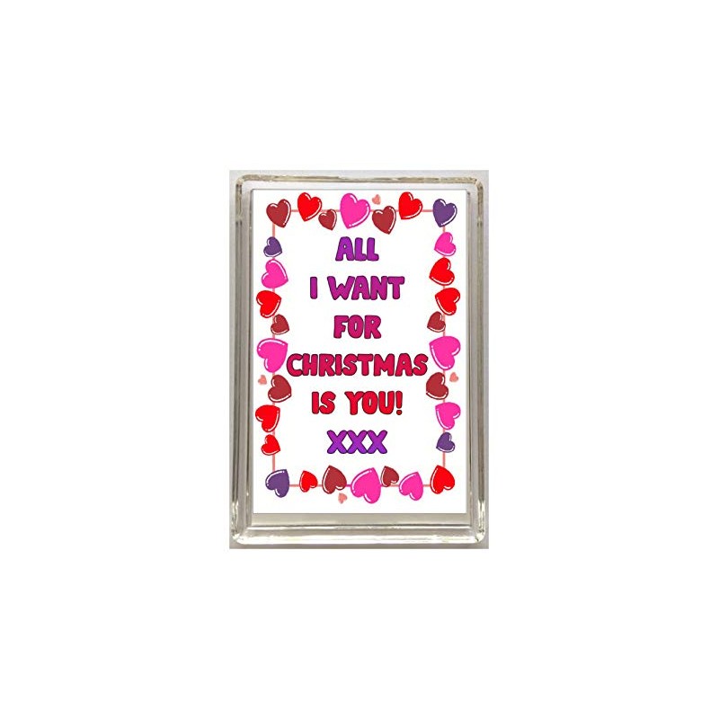 All I Want For Christmas Is You - Fridge Magnet