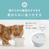 Nekoichi Cat Food Bowl with Legs, Mino Ware, Made in
