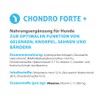 EMINENT Supplements Chondro Forte+ | Dog Supplements for Proper Function