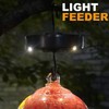Ant Moat with Solar Lights for Hummingbird Feeders, Hanging Ant