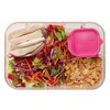 PackIt Flex Bento Food Storage Container, Ripe Raspberry, Shatterproof Crystal