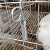 Haofy Pack of 20 Multifunctional Cage Door Spring Hooks Metal
