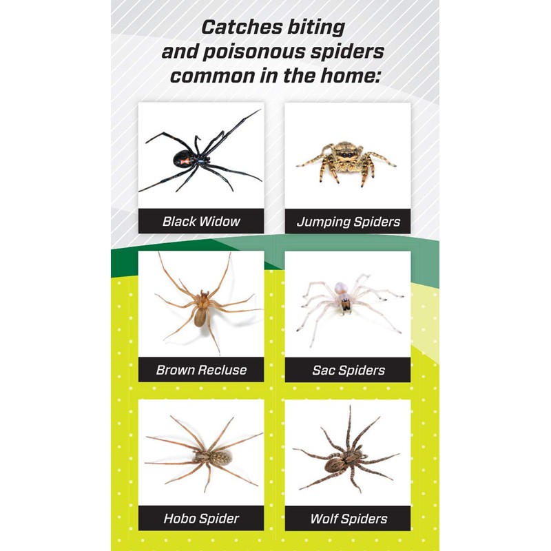 RESCUE! Spider Traps – Catches Brown Recluse, Hobo Spiders, Black