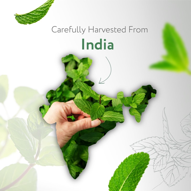 HBNO California Bottled Peppermint Essential Oil 4 fl oz (120ml)