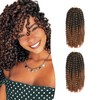 14 Inch Afro Kinky Curly Crochet Hair Extensions 2 Packs
