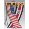 Rear view mirror car flags Costa Rica and USA unity