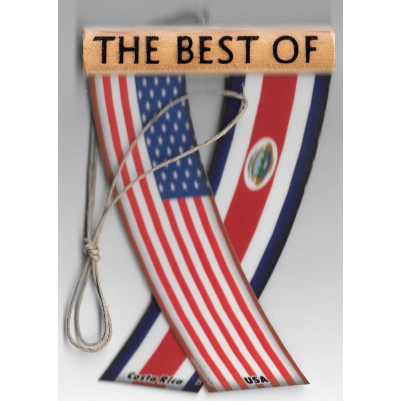 Rear view mirror car flags Costa Rica and USA unity