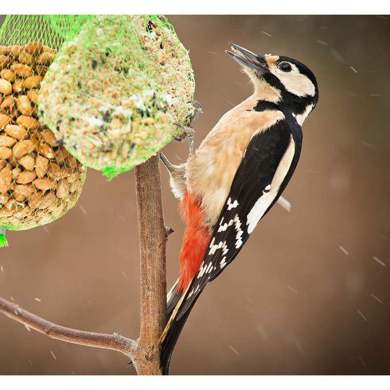 Valley Farms Peanut Kernels (4 LBS)