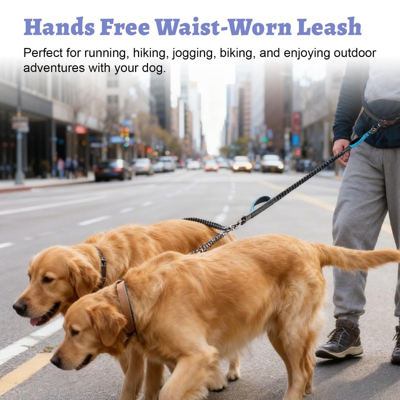 LEOSASA Hands Free Double Dog Leash for Two Dogs- No