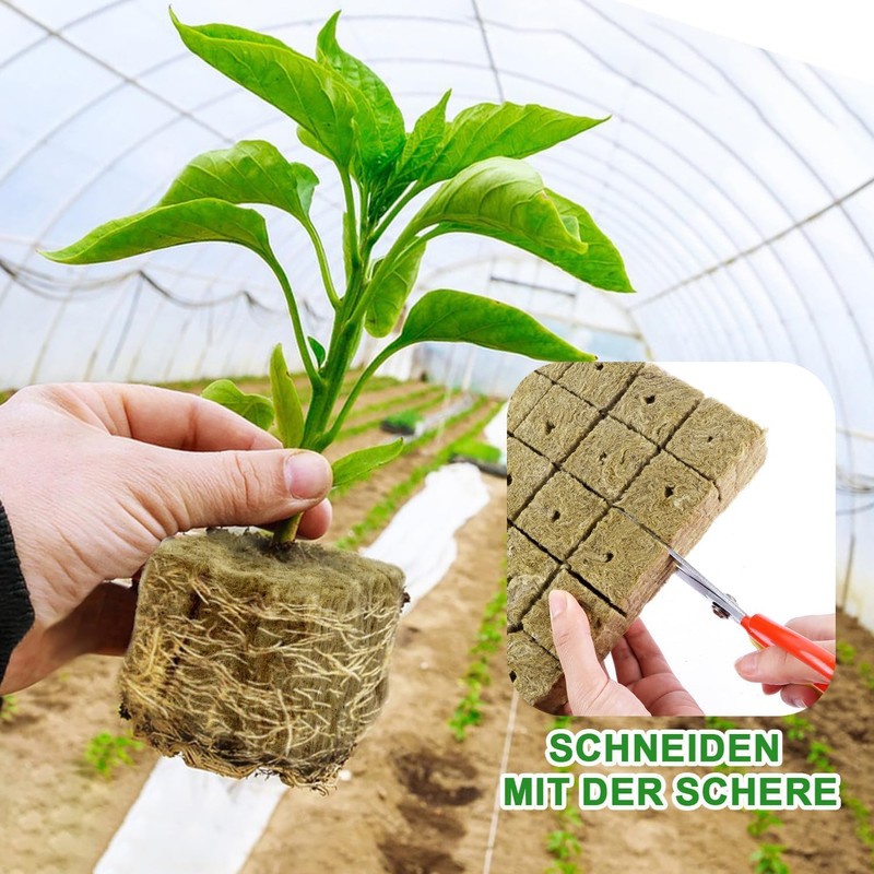 Nuyoah Rock Wool Cultivation Cubes Hydroponics Rockwool Cube Rockwool Cube