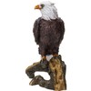 Pacific Giftware American Eald Eagle Perching on Tree Branch Resin