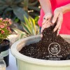 Premier Tech Horticulture Peat Moss Sustrato Premier Germina Enraiza Rinde