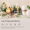 Aeshory Essential Oils Set -28x5ml Fruity & Woody & Herbal
