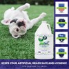 BioTurf BioS+ Turf Cleaner for Pet Urine Outdoor – Artificial