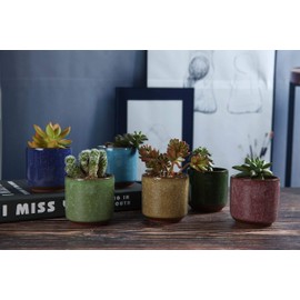 T4U 2.5 Inch Small Ceramic Succulent Planter Pot with Drainage Hole Set of 12, Ice Crack Glaze Porcelain Handicraft Plant Container Gift for Mom Sister Aunt Best for Home Office Desk Decoration