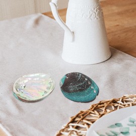 DOITOOL Abalone Shell 3pcs Abalone Shell Smudge Bowls Shell Smudge Holder Abalone Shell for Smudging Smudge Kit