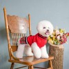 PAWCHIE Dog Sweater Dress with Bowtie - Dog Turtleneck Pullover