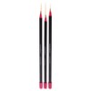 Amazing Shine Amazing Shine Professional 3 Piece Nail Art Brush