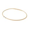 phiten RAKUWA Necklace EXTREME Cube [Stiff Shoulder] [Neck Stiffness] [Phiten
