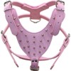 haoyueer Leather Spiked Studded Medium & Large Dog Collars, Harnesses