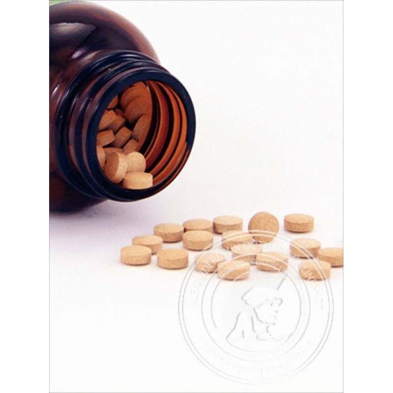 Style Japan High Support 450 Tablets 4.8 oz (135 g),