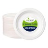 Best House Super Rigid Strong Bagasse Plates - 500 Pack,