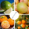 Mrltau 304 Stainless Steel Citrus Peeler, Ergonomic Orange Peeler, Safe