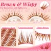 Brown Lashes Clusters Wispy Eyelash Clusters Natural Look (Drifter Brown)