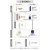 Hashikata Cosmetics Beauty Cream, 1.1 oz (30 g), Pack of