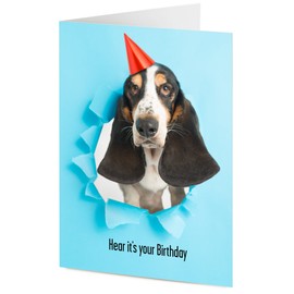 'Hear it's your Birthday' Basset hound wearing party hat bursts through blue paper background – Birthday card
