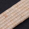 Gem-Inside 2 x 4 mm Natural Cream White Shell Fossil