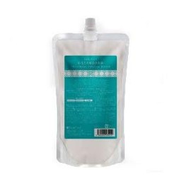 E Standard Treatment Positive Repair 16.9 fl oz (500 ml) Refill