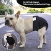 CuteBone - Pañales lavables para perros (3 unidades) para perros