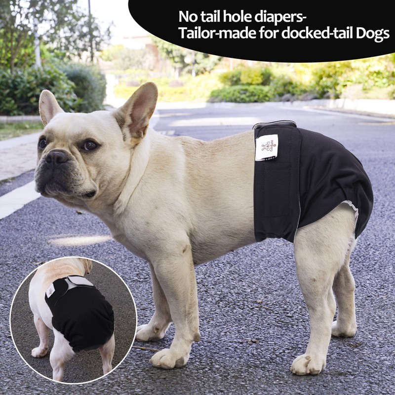 CuteBone - Pañales lavables para perros (3 unidades) para perros