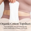 Cora Cora Period Regular Liners | 100% Organic Cotton Topsheet