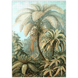MyPuzzle Ferns (Filicinae) - Art Forms in Nature, Vintage Art Poster, Ernst Haeckel - Premium 1000 Piece Puzzle - MyPuzzle Special Collection by Havana Puzzle Company