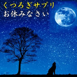 テアニン サプリ L-テアニン 200mg 30日分 くつろぎ ゆっくり 爽快 お休みなさい