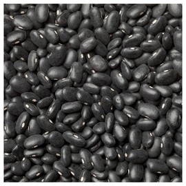 Everwilde Farms - 1/4 Lb Black Turtle Dry Bean Seeds - Gold Vault