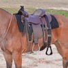 Step Up Stirrup X-long 76"