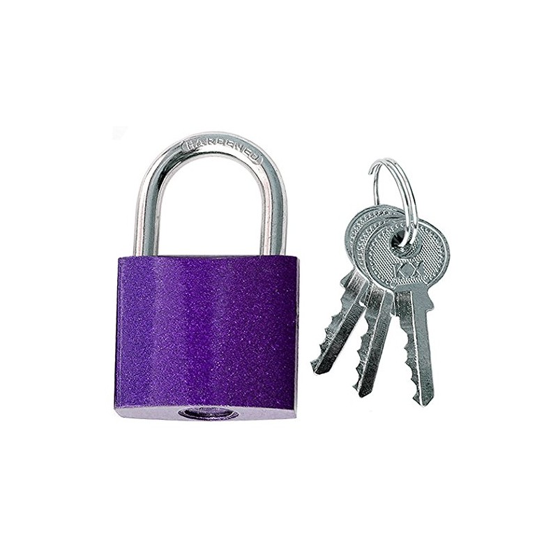 Padlock Padlock Purple 50 with 3 Keys