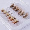 Bassdash Complete Fly Fishing Fly Fishing Bristle Flies in Case