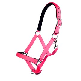 Hkm Headcollar with Stars Softice, Soft Lining