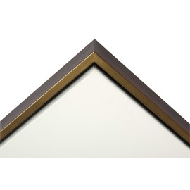 Creative Mark Illusions Floater Canvas Frame Gold/Walnut - 8x10, 3/4" - Ideal for Galleries, Artists & Professionals, Frames for Canvas Paintings, Complete Hanging Hardware