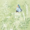 IHR Daydream napkin, 33 x 33 cm, pack of 20,