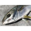 Little Jack METAL ADICT-05 40g #01 Pole SANMA 98mm